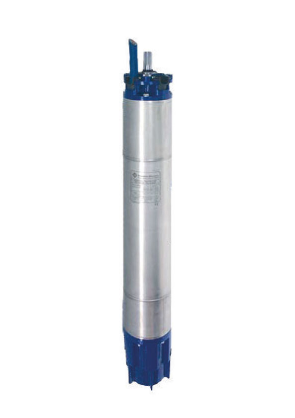 Motor Sumergible Rebobinable 10